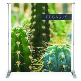 Pegasus Banner Display Pegasus Banner Display