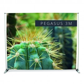 Pegasus Banner Display Pegasus Banner Display