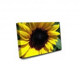 Artist Solvent Canvas Artist Solvent Canvas